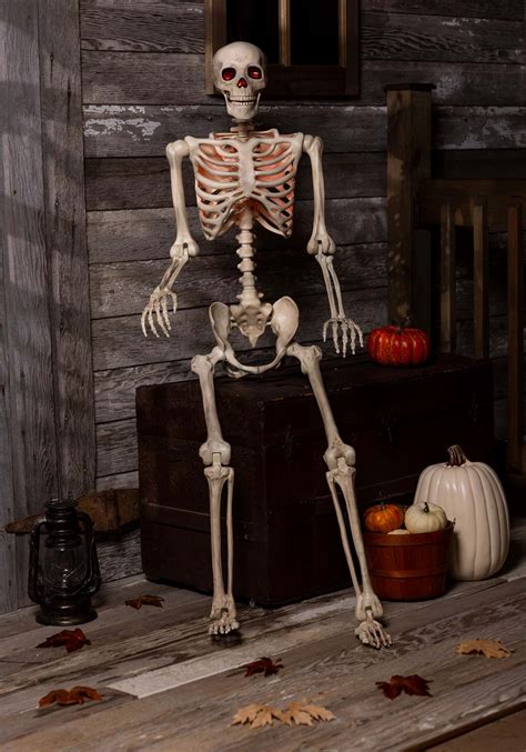 5 foot poseable skeleton